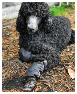 Processed with MOLDIV