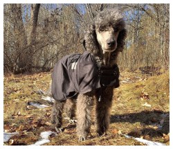 Processed with MOLDIV