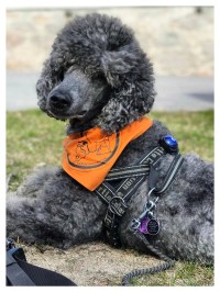 Processed with MOLDIV