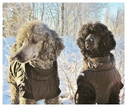 Processed with MOLDIV