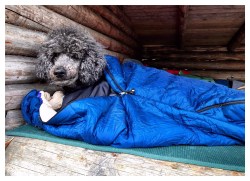 Processed with MOLDIV