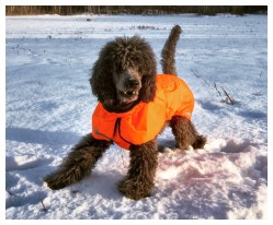 Processed with MOLDIV