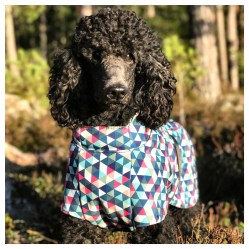 Processed with MOLDIV