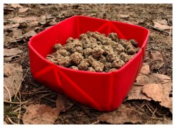 Processed with MOLDIV