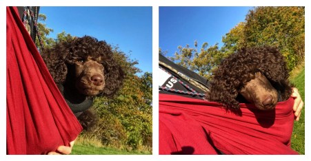 Processed with MOLDIV