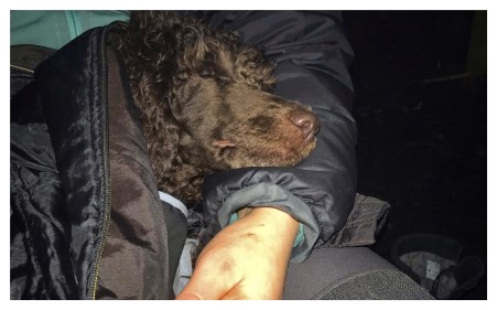 Processed with MOLDIV