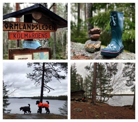 Processed with MOLDIV