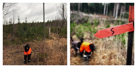 Processed with MOLDIV