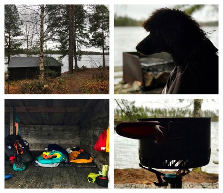 Processed with MOLDIV