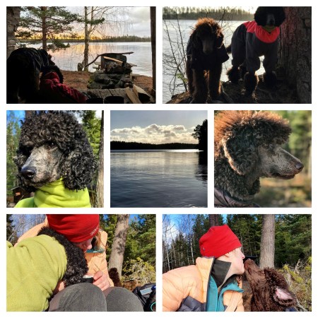 Processed with MOLDIV