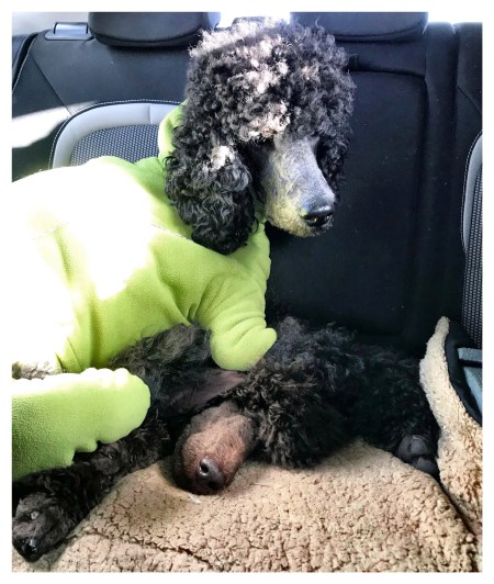 Processed with MOLDIV