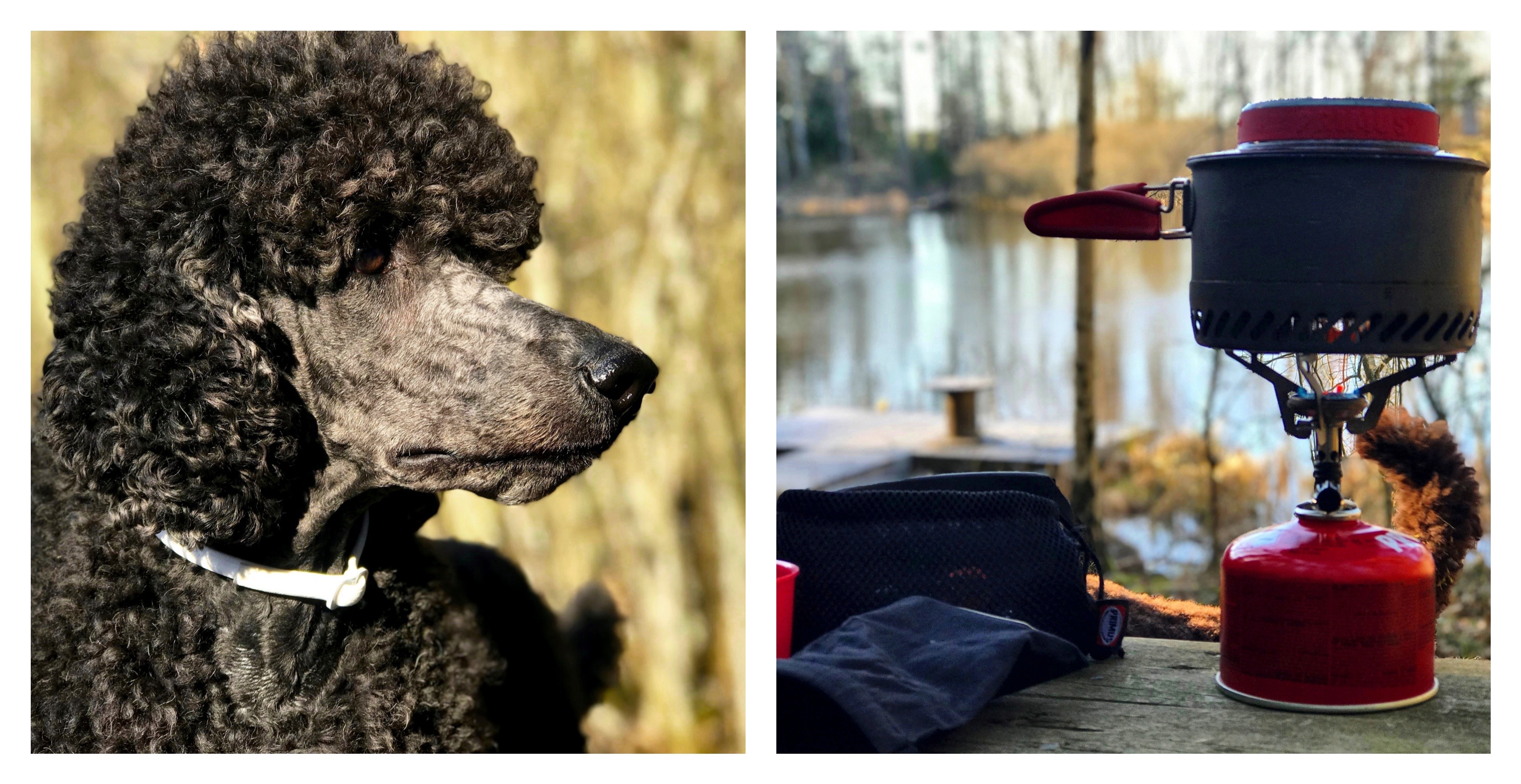 Processed with MOLDIV