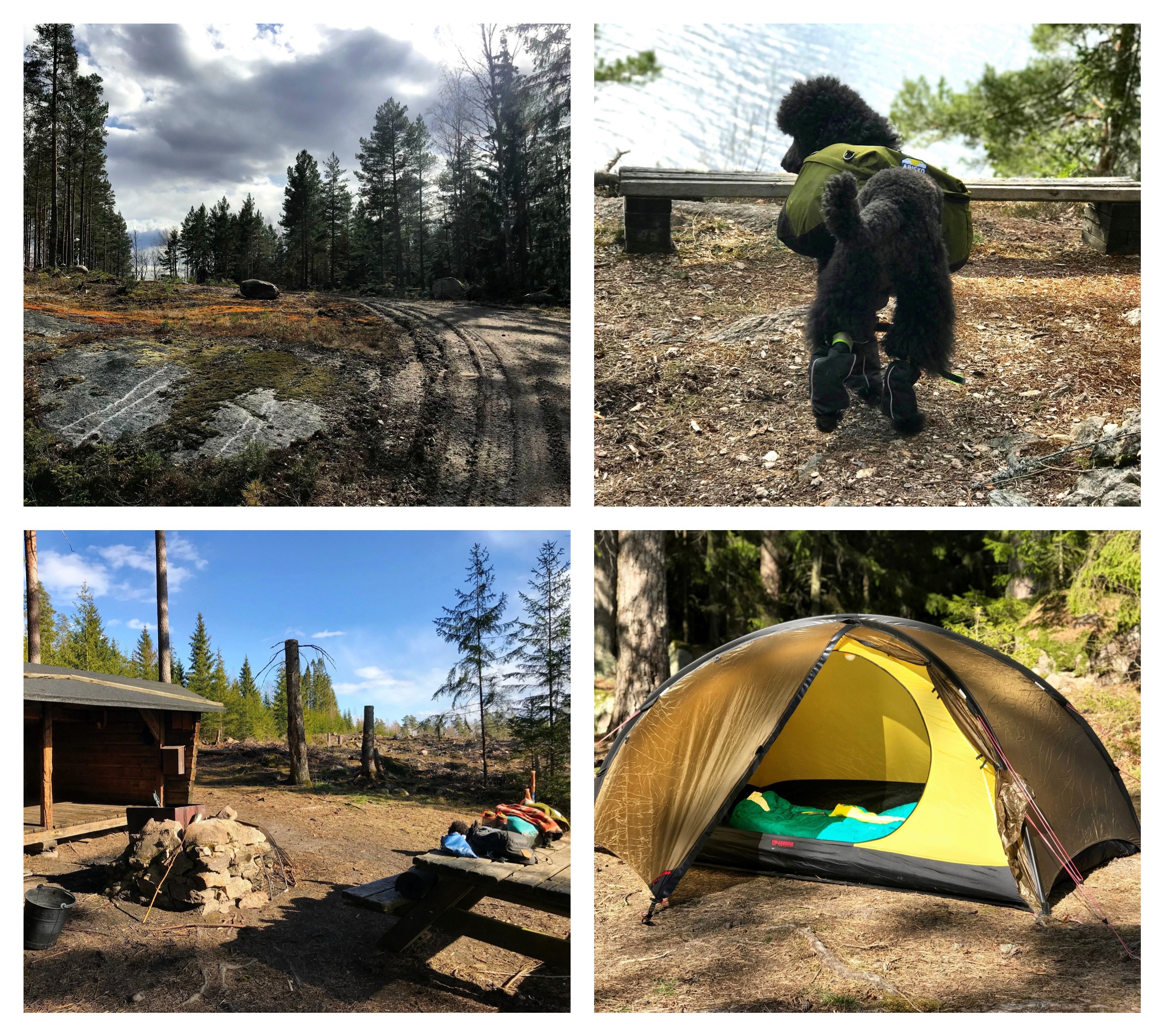 Processed with MOLDIV