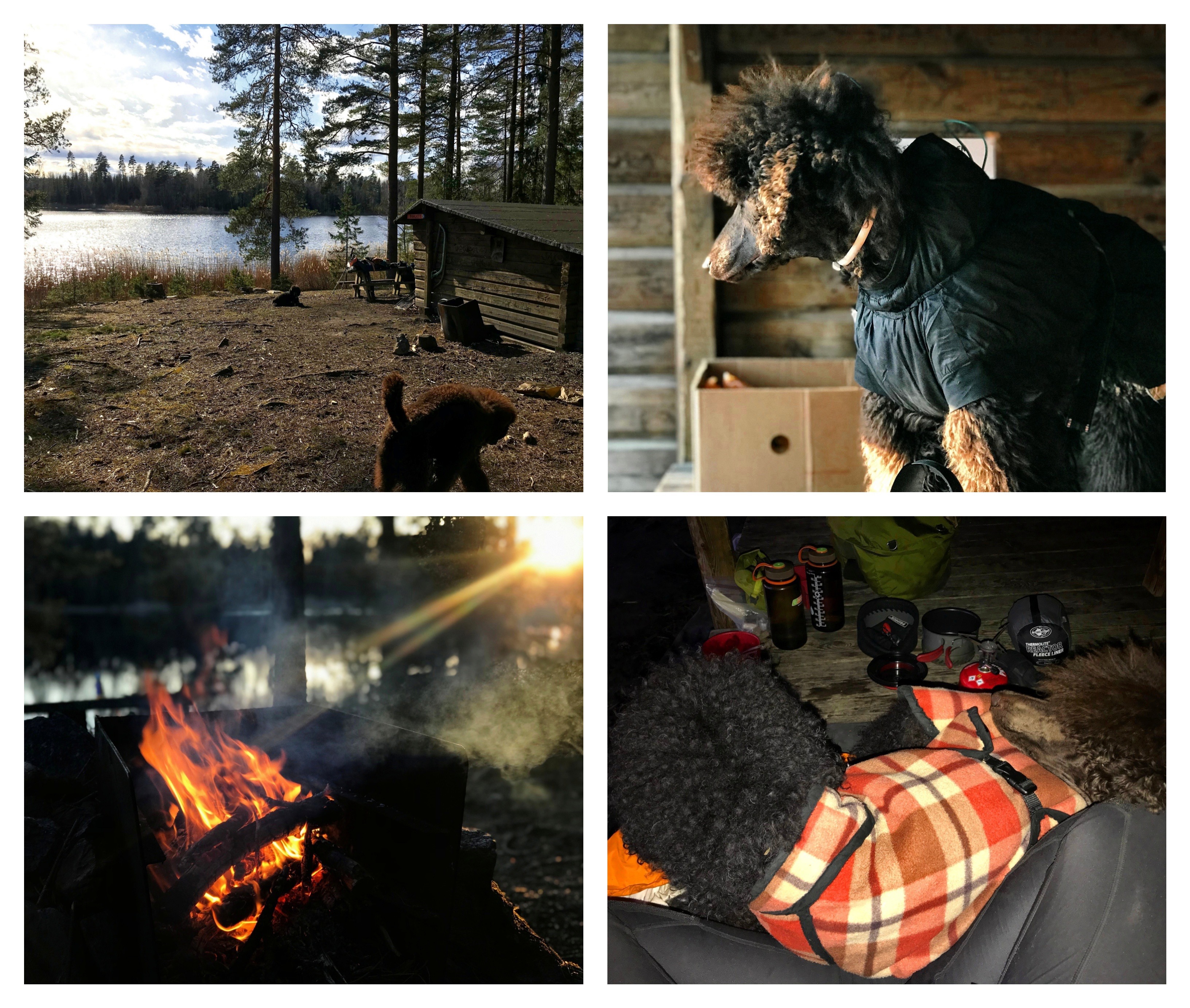 Processed with MOLDIV