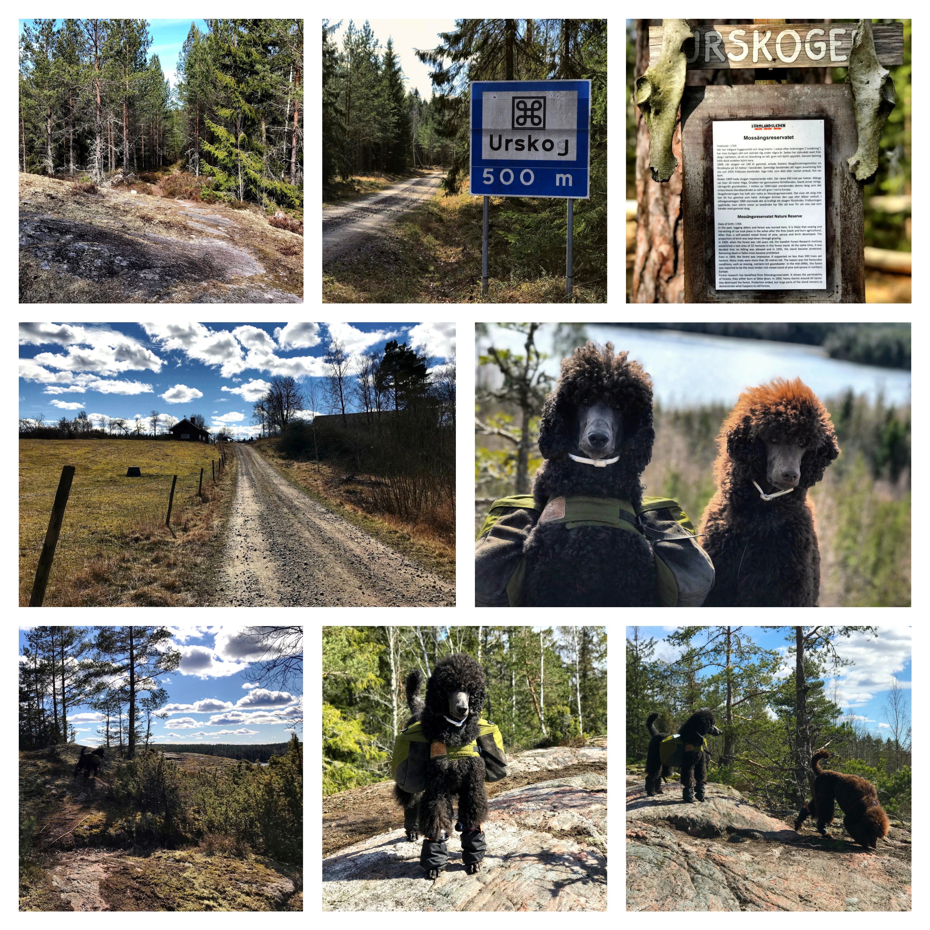 Processed with MOLDIV