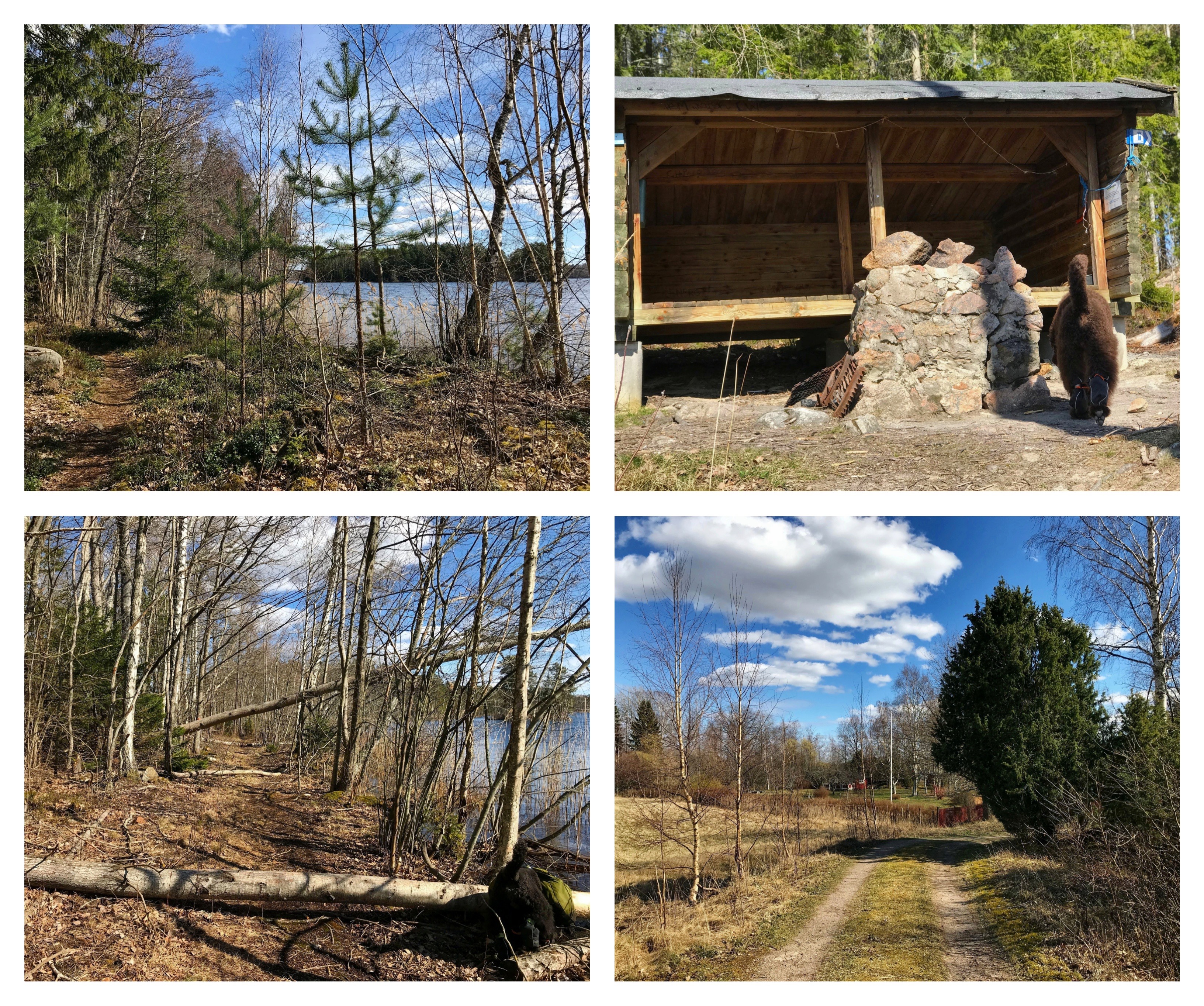 Processed with MOLDIV