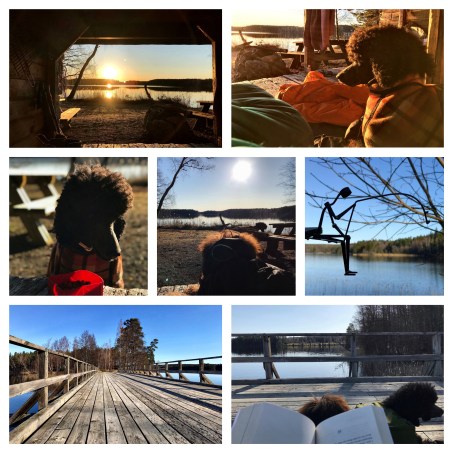 Processed with MOLDIV