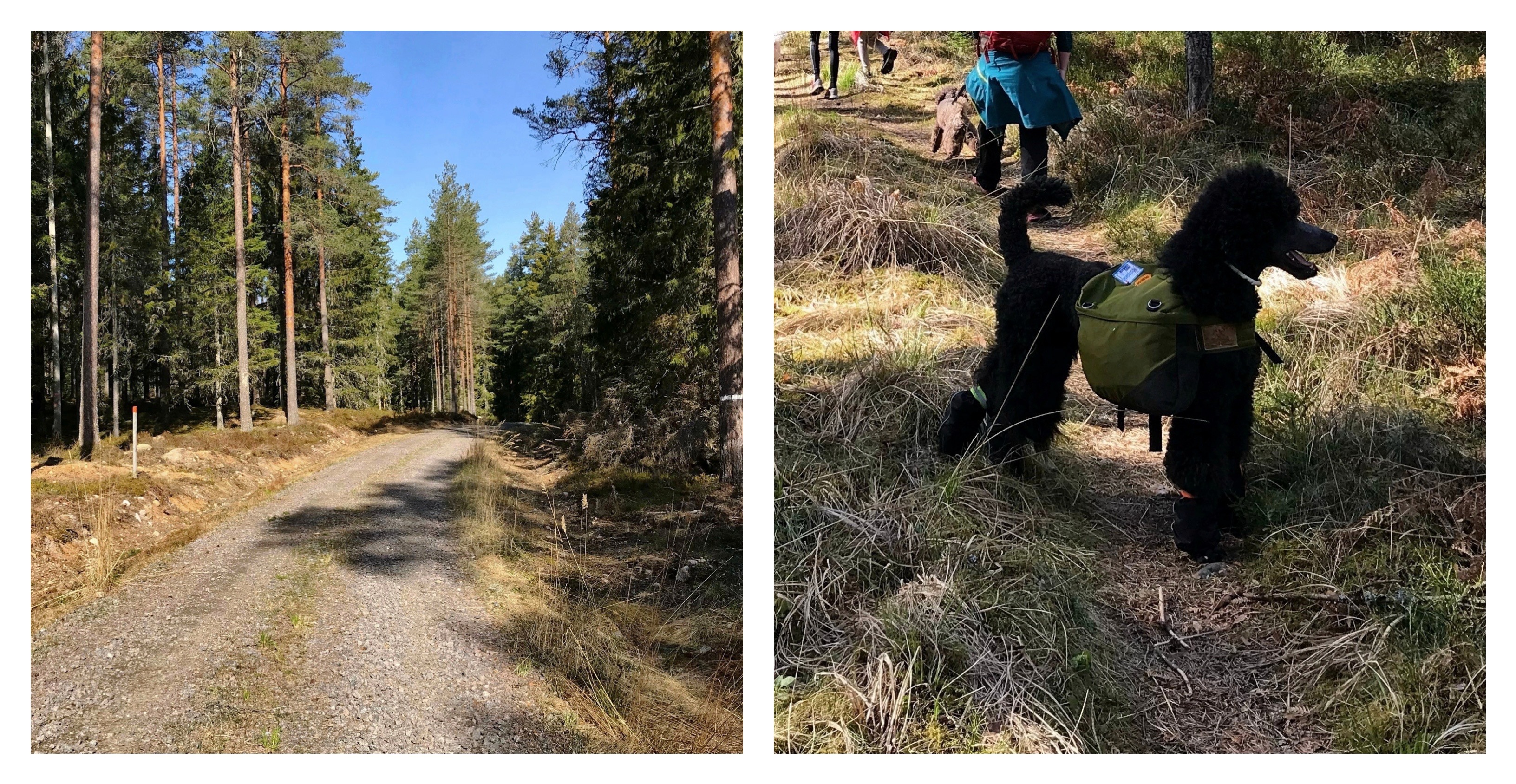 Processed with MOLDIV