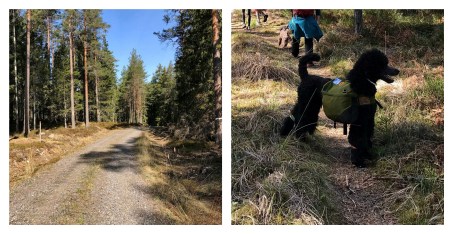 Processed with MOLDIV