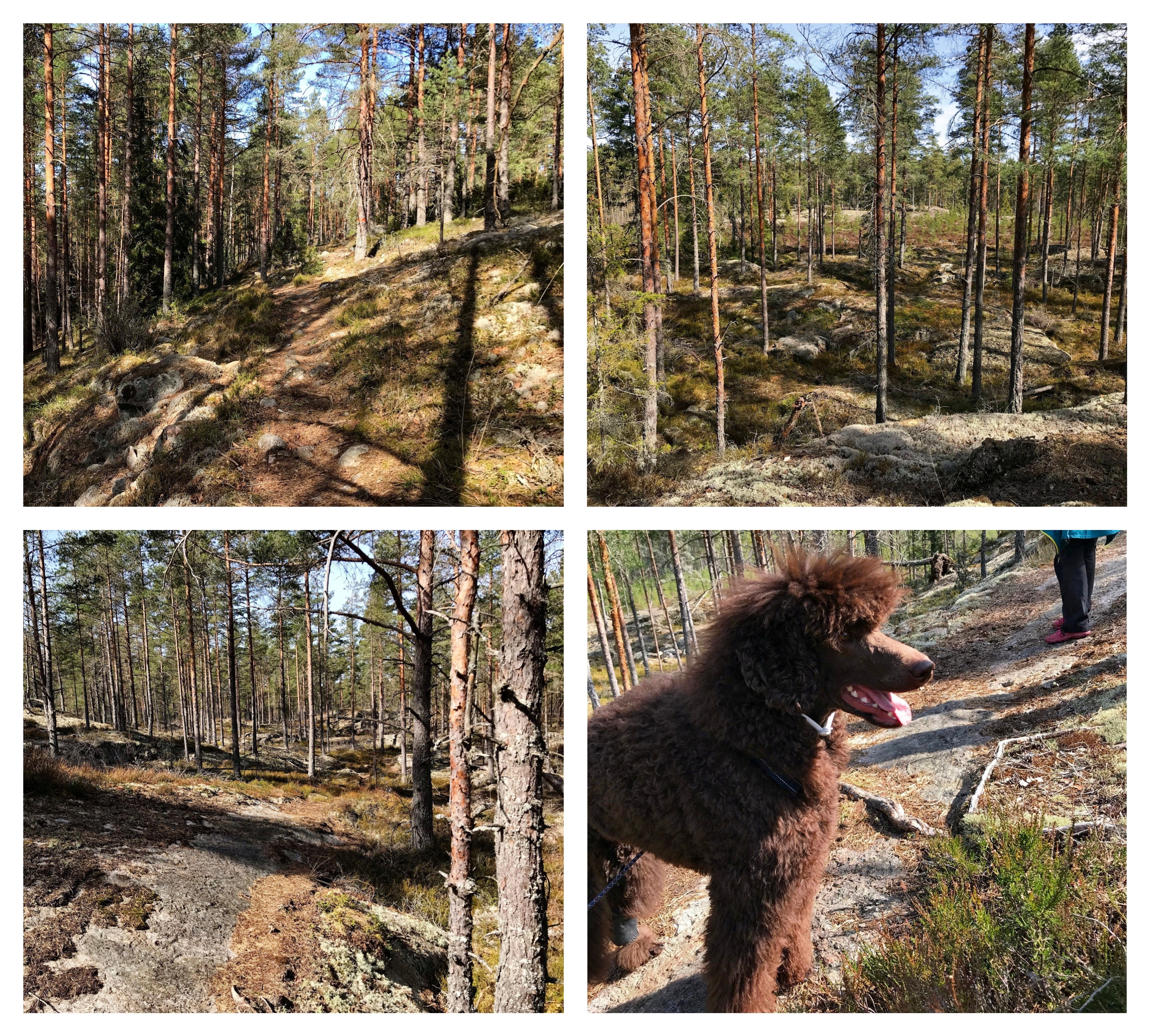 Processed with MOLDIV