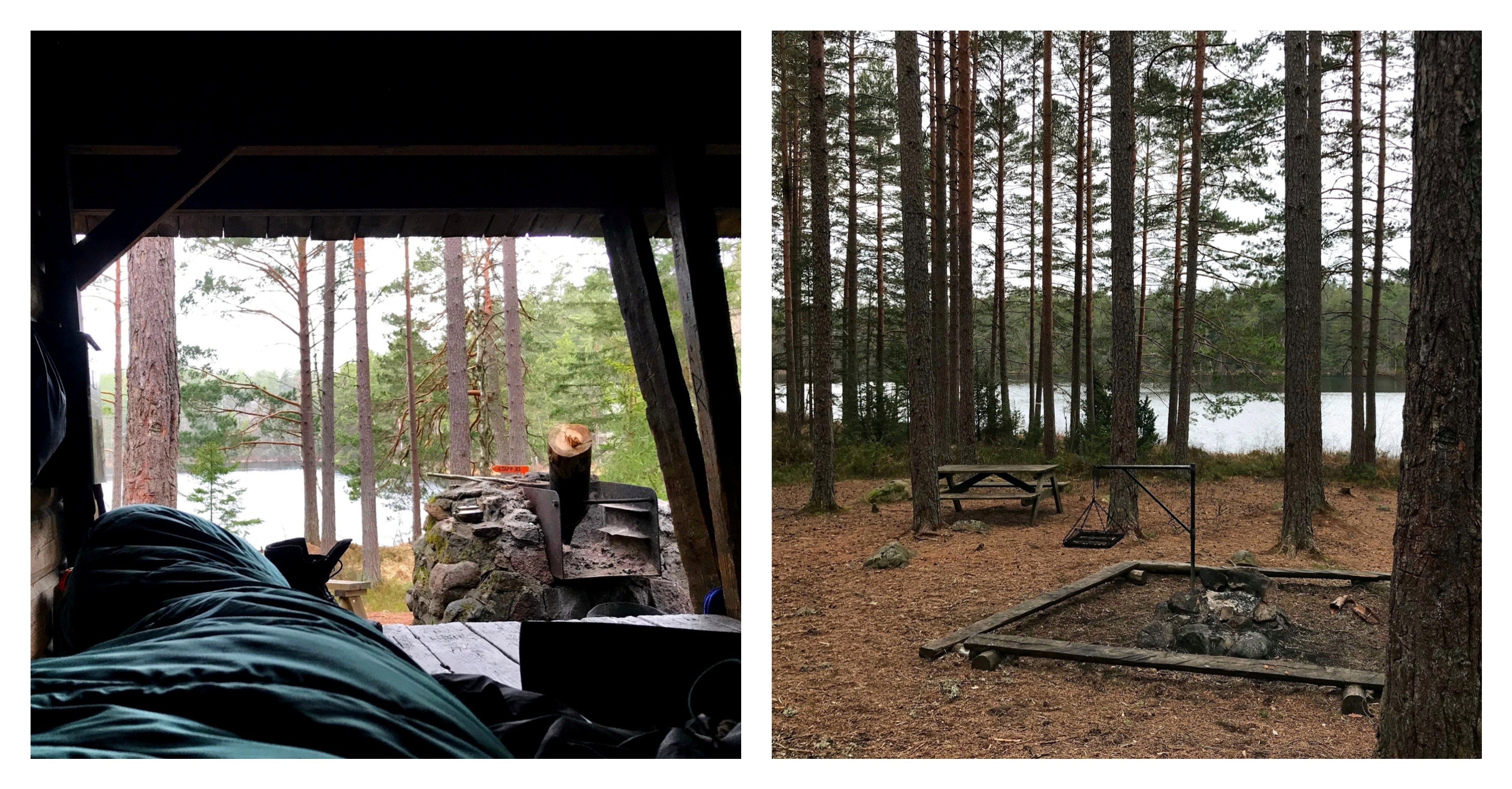 Processed with MOLDIV