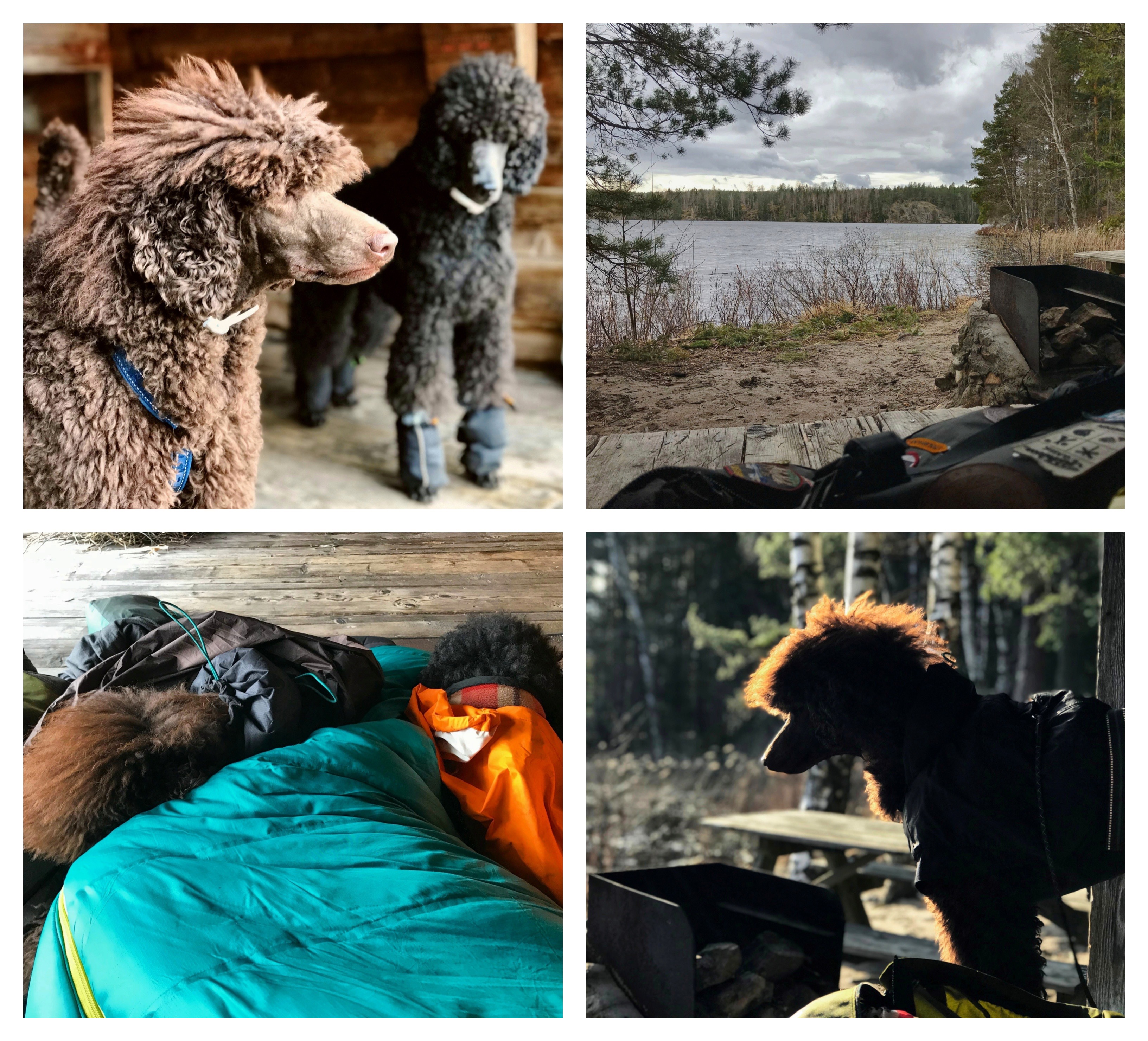 Processed with MOLDIV