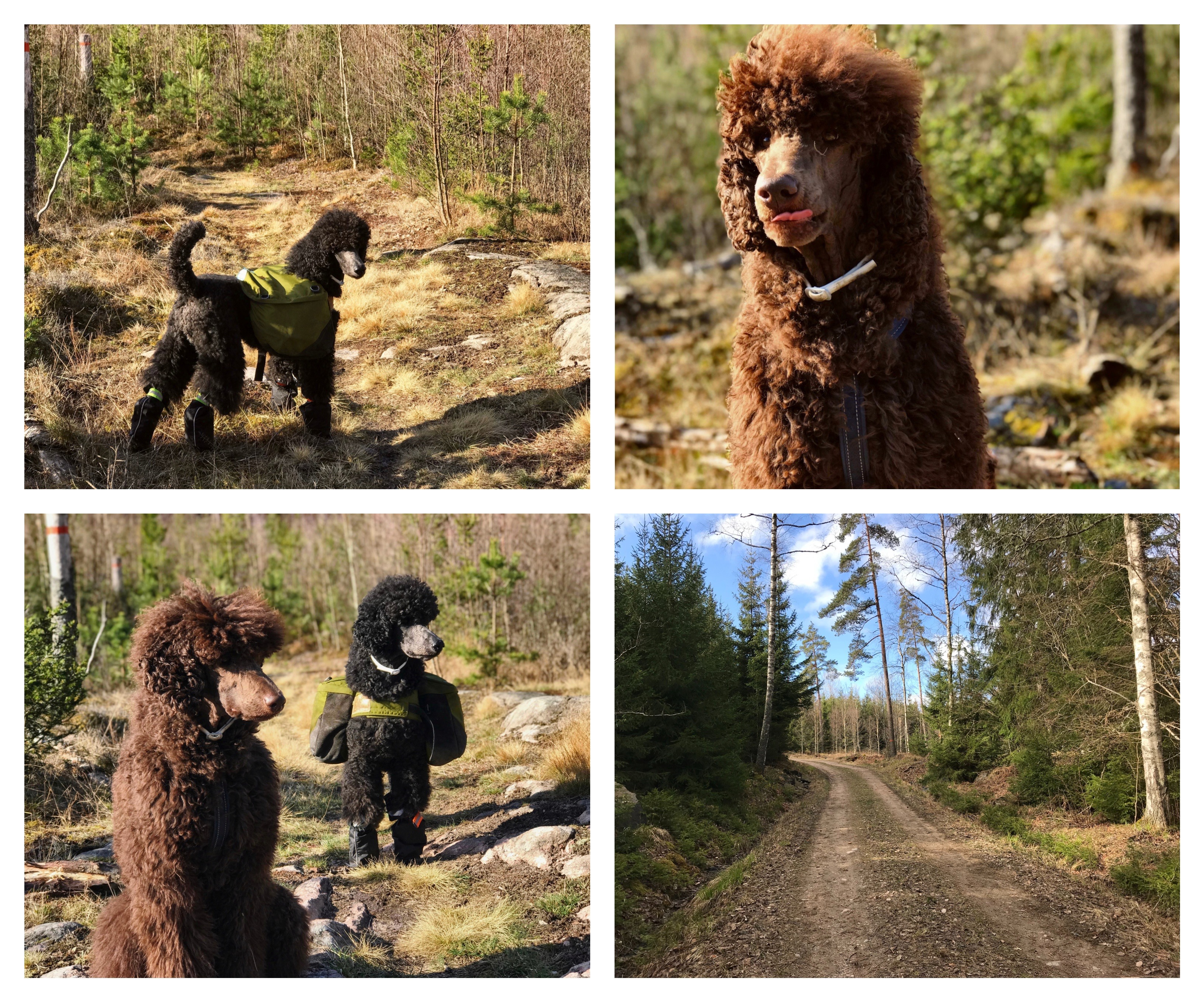 Processed with MOLDIV