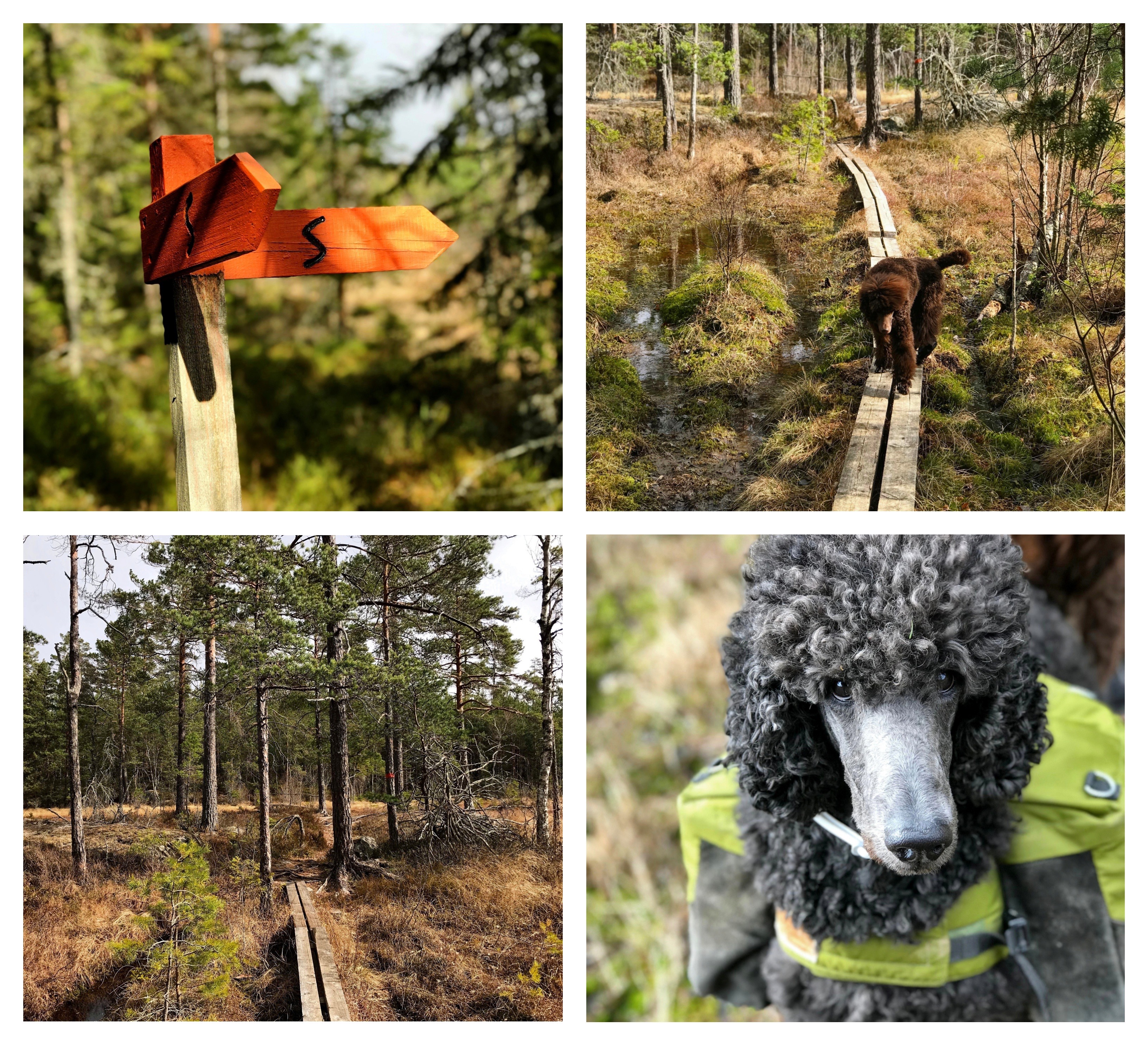 Processed with MOLDIV