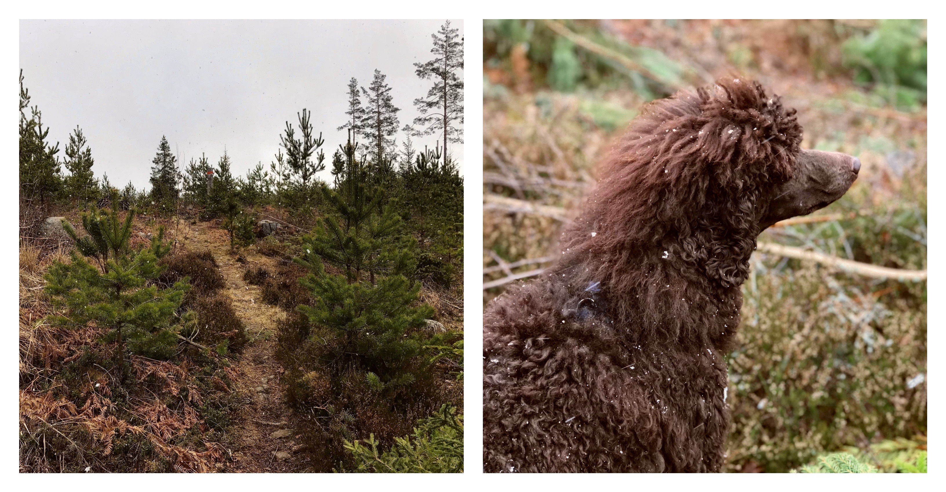 Processed with MOLDIV